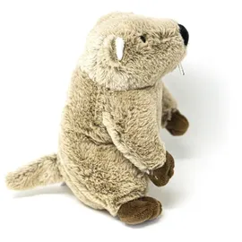 Cornelißen Cornelissen - Kuscheltier Murmeltier - Braun