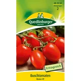 Quedlinburger Buschtomate ''Roma''