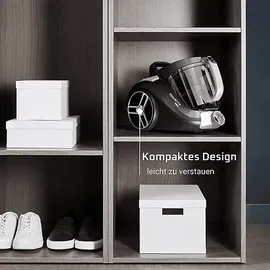 Rowenta Compact Power XXL RO4B36