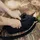 Peak Design Outdoor Sling 4L schwarz