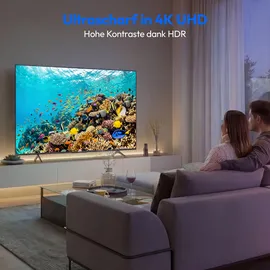Medion MD 865302 65" 3840 x 2160 Pixel LED 4K Fernseher