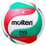Molten Volleyball V5M5000