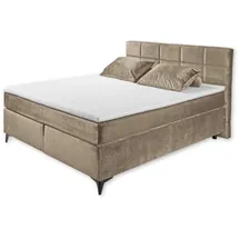 ed exciting design Boxspringbett Navarra - grau & Maße cm B: 183 H: 113