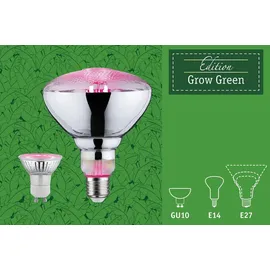 Paulmann LED Reflektor R50 E14 4W 1300K
