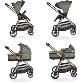 Cangaroo Kinderwagen 2 in 1 Hydra