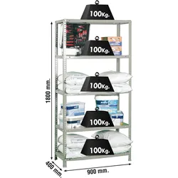 Proregal Schraubregal Panda Tall | HxBxT 200x100x40cm | Fachlast 100kg | Grau