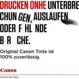 Canon PG-545 schwarz