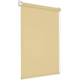 VICTORIA M Verdunkelungsrollo Tenebra 35 x 160 cm beige