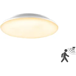 EVN Lichttechnik LED-Anbauleuchte L30180125BM