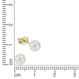 Fascination by Ellen K. Ohrstecker 585 Gelbgold SWZP