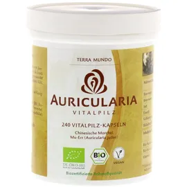 Terra Mundo Auricularia Vitalpilz Bio Kapseln 240 St.