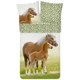 ESPiCO Kinderbettwäsche Pferd Trendy Bedding, Renforcé, 2 teilig, Tiermotiv, Pony bunt|grün