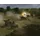 Theatre of War 2 - Kursk Deluxe Edition