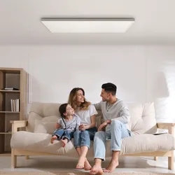 Infrarotheizung Deckenmontage 860W