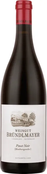 Pinot Noir Weingut Willi Bründlmayer 2018