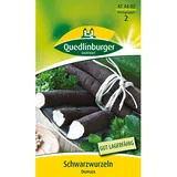 Quedlinburger Schwarzwurzel ''Duplex''