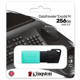 Kingston DataTraveler Exodia M 256GB