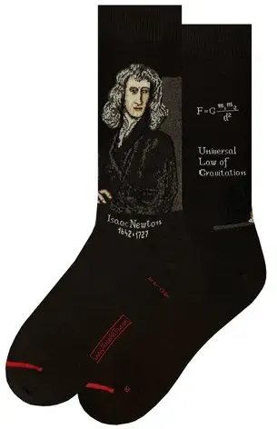 MuseARTa Unisex Socken Science & History - Isaac Newton - Black - 36-40