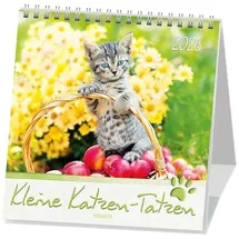 Kawohl Kleine Katzen-Tatzen 2026