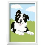 Ravensburger Malen nach Zahlen Border Collie Welpe (23759)