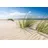 Papermoon Fototapete PAPERMOON "DÜNEN-NATUR NORD SEE SAND STRAND MEER WÜSTE LANDSCHAFT", bunt, B:2,5m L:1,86m, Vlies, Tapeten