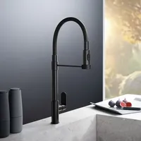 Fortis Lica flex Küchenarmatur Schwarz