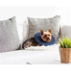 dehner lieblinge Leckschutzkragen für Hunde und Katzen 60 cm Blau/Schwarz XL