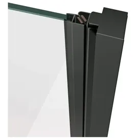 Ravak Cool Duschtür 100 x 195 cm X0VVAC300Z1
