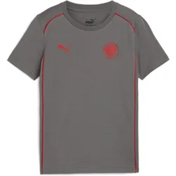 FC St. Pauli Casuals T-Shirt Jugendliche PUMA Flat Medium Gray Red Gr. 140 - 10 Jahre