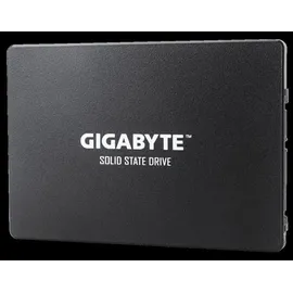 Gigabyte SSD 1 TB 2,5" GP-GSTFS31100TNTD