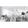 ALLboards Whiteboard 120 x 80 cm Weiß