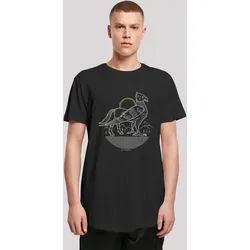 T-Shirt F4NT4STIC "Harry Potter Buckbeak Line Art", Herren, Gr. 4XL, schwarz, Obermaterial: 100% Baumwolle, casual, regular fit, Rundhals, Kurzarm ohne Bündchen, Shirts, Print