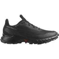 Salomon Damen Alphacross 5 GTX schwarz 42.0