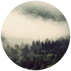 K&L Wall Art Vliestapete »Runde Vliestapete«, Nebel Wald Tannenwald Natur, mehrfarbig, matt - bunt