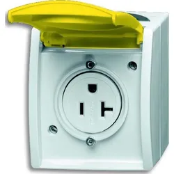 Busch-Jaeger Steckdose 3016 EWN-53