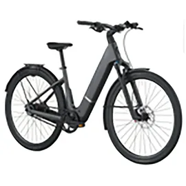 Scott Bikes Passage 10 2026 29 Zoll RH 400 cm grau