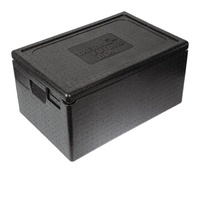 Thermo Future Box Thermobox Eco 46L