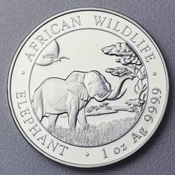 Silbermünze 1oz Elefant 2019 African Wildlife (Somalia)