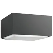 Philips Hedgehog (8721103038098) Grau
