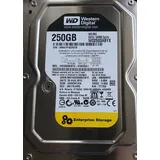 Western Digital RE4 250GB (WD2503ABYX)