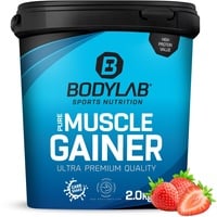 Bodylab24 Pure Muscle Gainer Erdbeere Pulver 2000 g