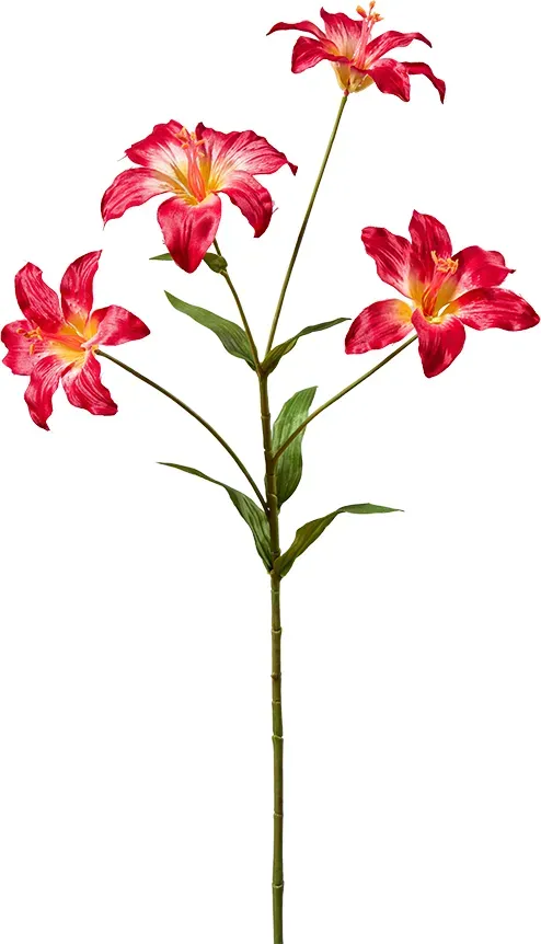 Lilie 73cm 4Blüten rot