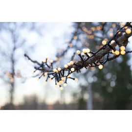Star Trading LED-Lichterkette Berry Mini 6 m Schwarz Warmweiß
