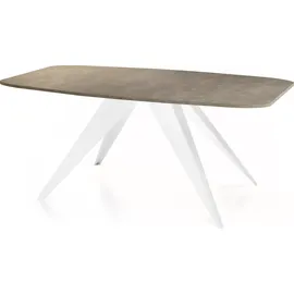 WFL GROUP Fatina 160 x 76 x 80 cm dunkelgrau