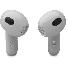 JBL Live Flex 3 Silber