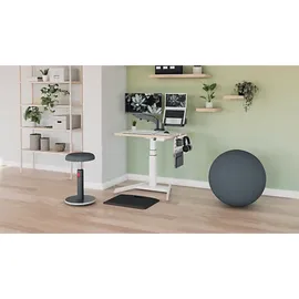 Leitz Ergo Active Sitzball Dunkelgrau 65 cm