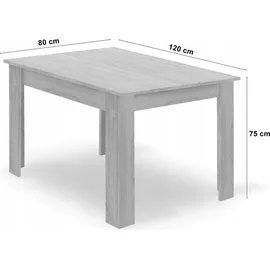 OEM Moderner rechteckiger Tisch 120 x 76 x 80 cm hellbraun