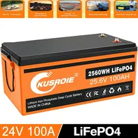 24V 100Ah LiFePO4 Akku Lithium Batterie BMS Solarbatterie Solaranlage Boot RV