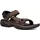 Teva Terra Fi 5 Universal Herren turkish coffee 48,5