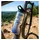 Zéfal Arctica Blau 0,75 l
